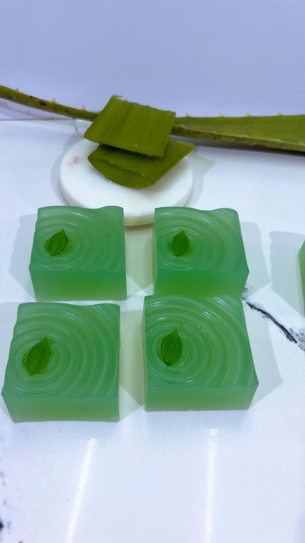 Aloe Fresh For Men